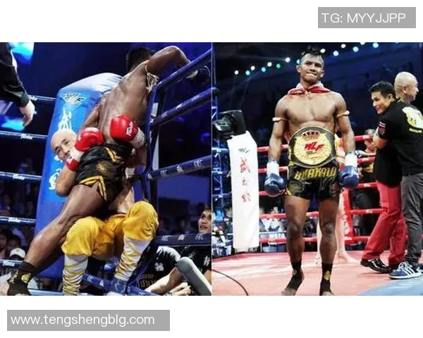 张开印与播求的巅峰对决究竟谁能胜出引发热议